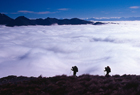 Fiordland 10194.jpg
